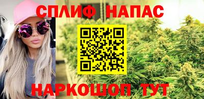 хмурый Гусь-Хрустальный