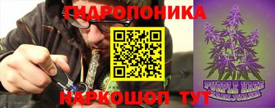 ALPHA PVP Гусев